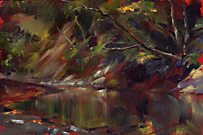 Rio-Claro-Costa-Rica,-4'x6'-sm
