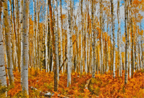kaplan-KeeblerPassAutumn_13x19-SM