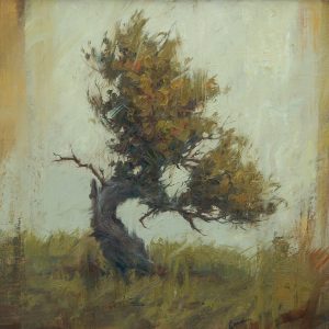 ACrookedPineinParkCounty_28x28