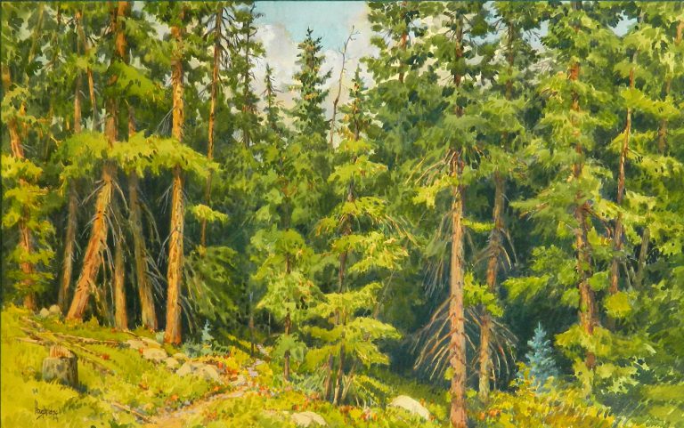 Leon Loughridge - Forest Path