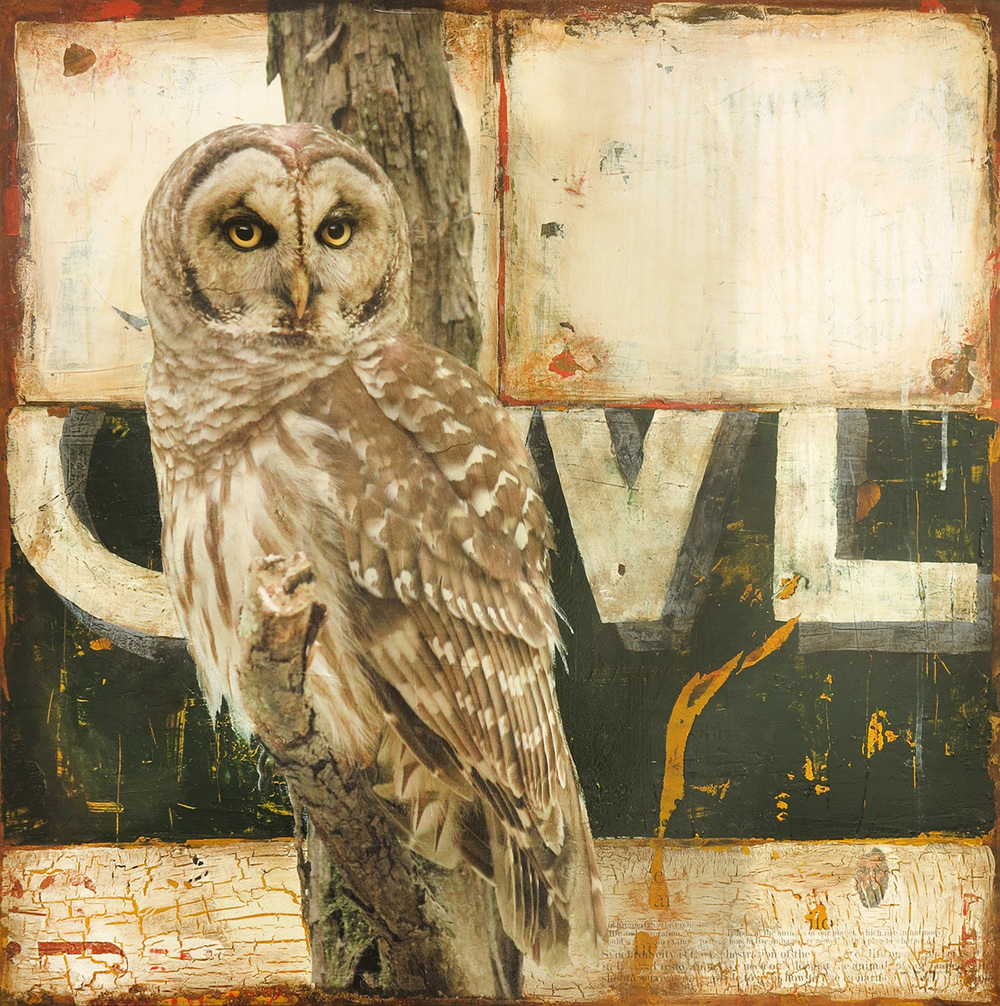 Mike Weber - Owl