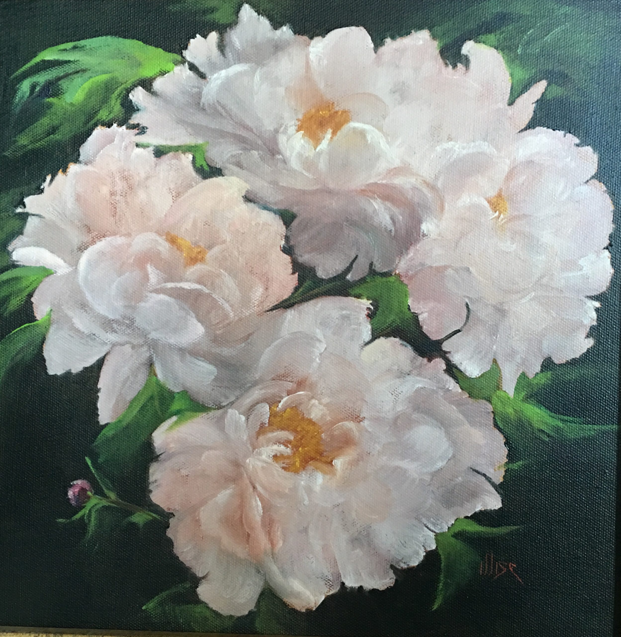 Marie Figge Wise - Peonies I