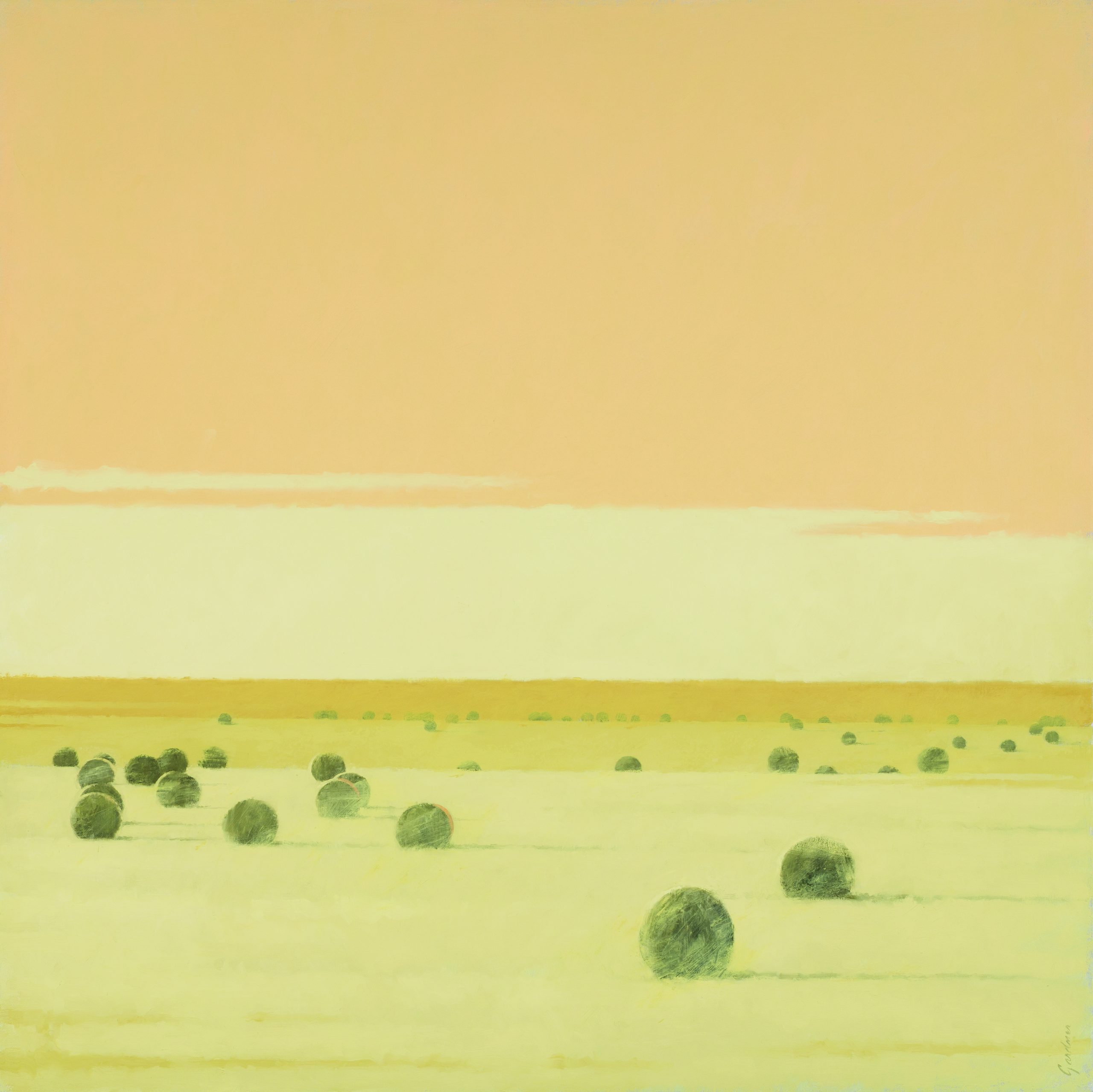 Terry  Gardner - Sunrise on the Plains
