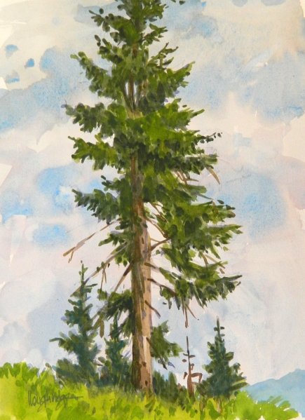 Leon Loughridge - Tall Pine