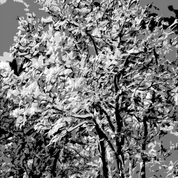 Michael Fain - Winter Trees 16 2/6