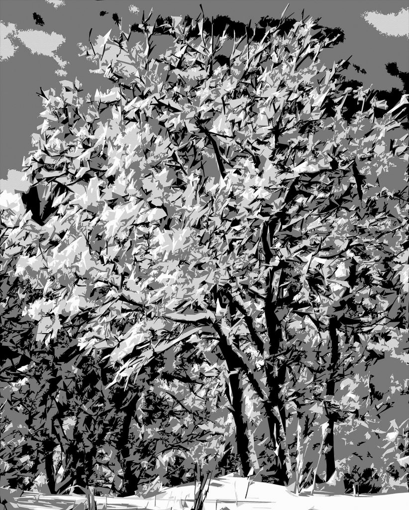 Michael Fain, Winter Trees 16 2/6 art
