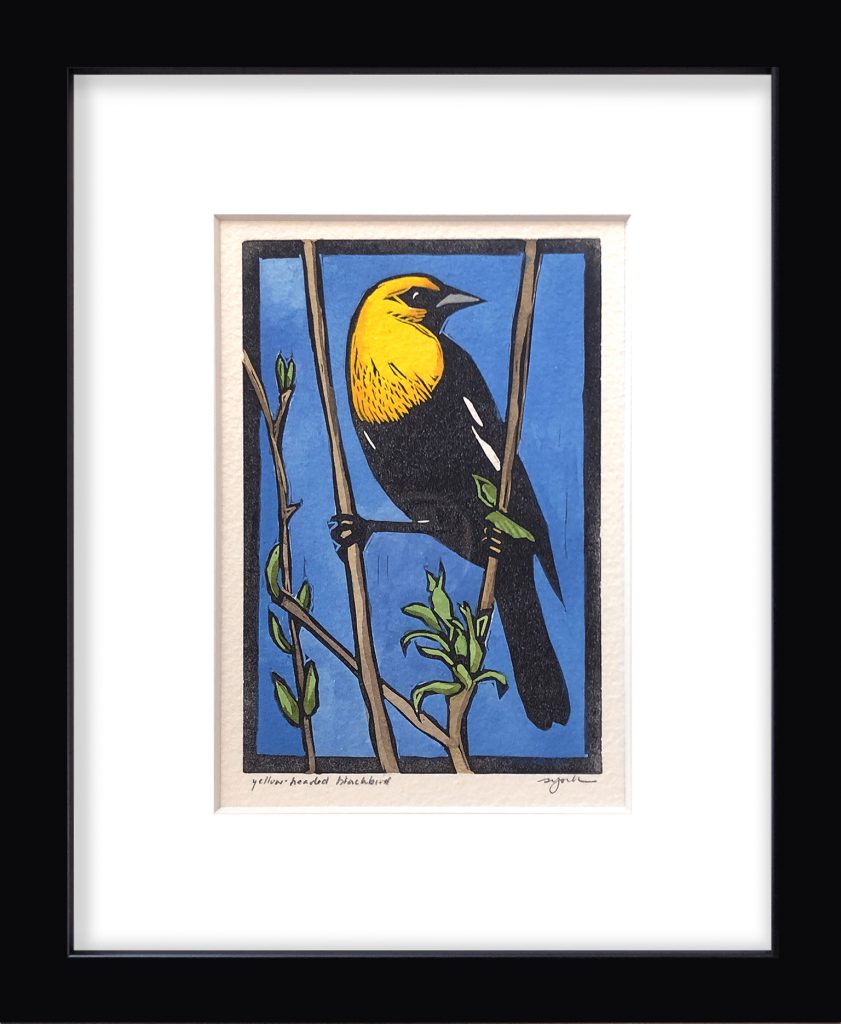 Sherrie York, Yellow-headed Blackbird art