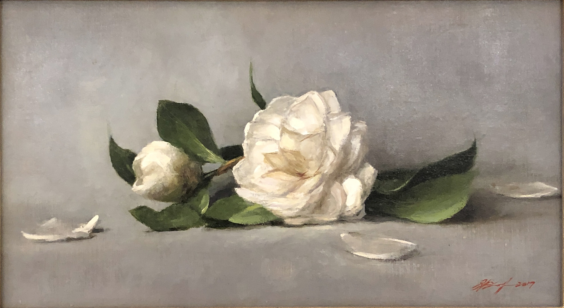 Sarah Lamb - White Camellias