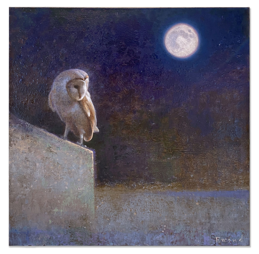 Ewoud de Groot, Barn Owl and Moon art