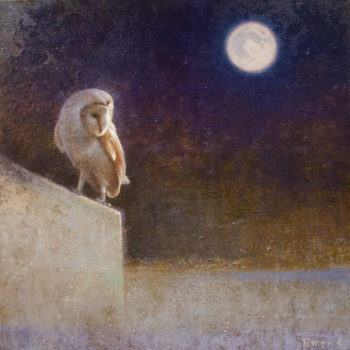 Ewoud de Groot - Barn Owl and Moon
