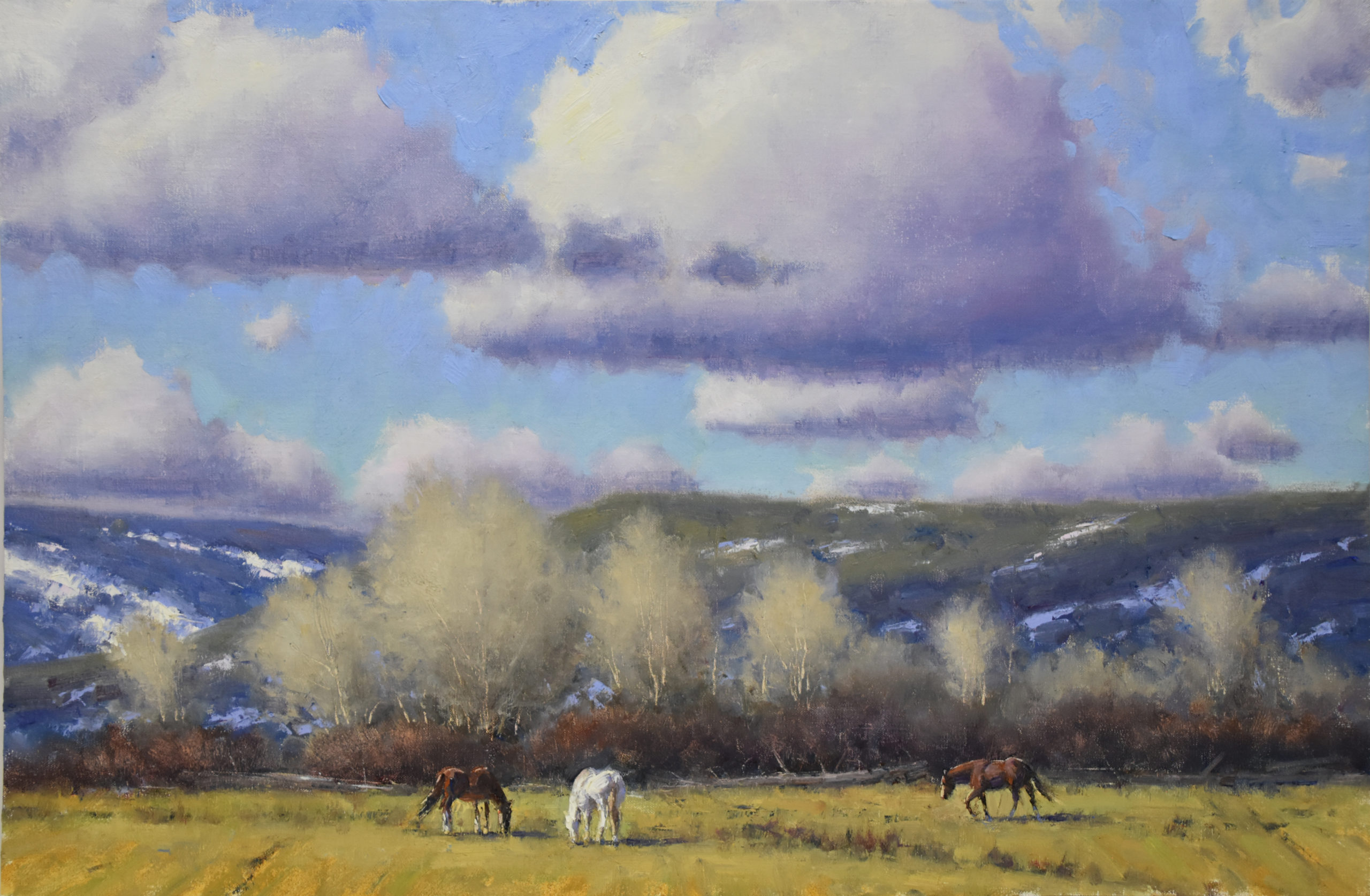 Dan Young - Grazing Under a Spring Sky