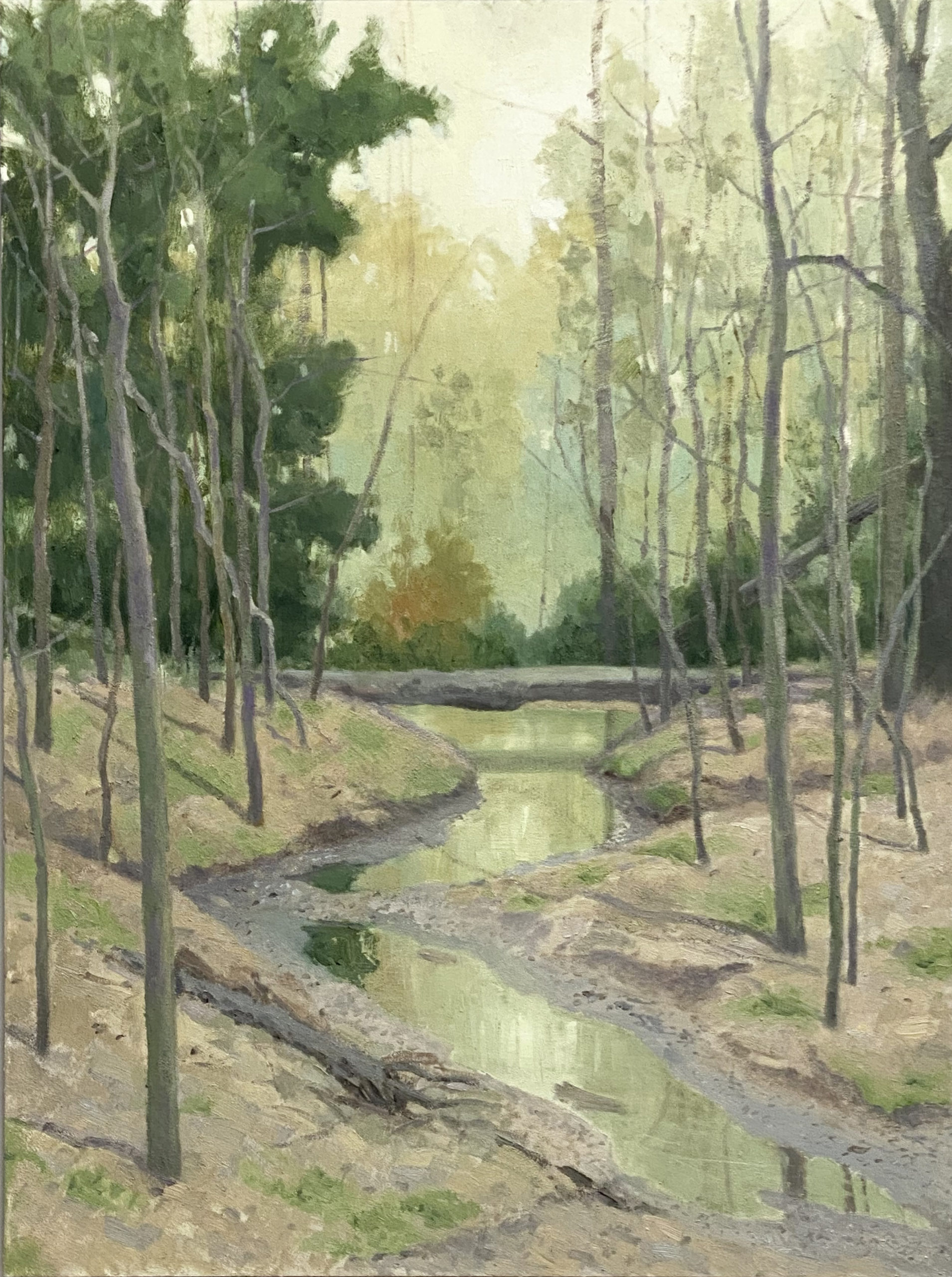 Deborah Paris - Early Spring, McCoy Creek