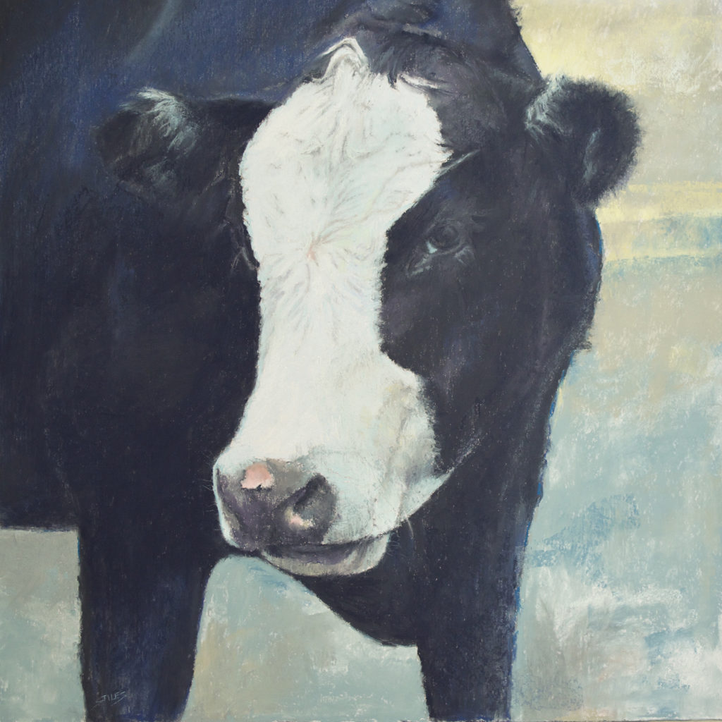 Sabrina Stiles, Coy Cow art