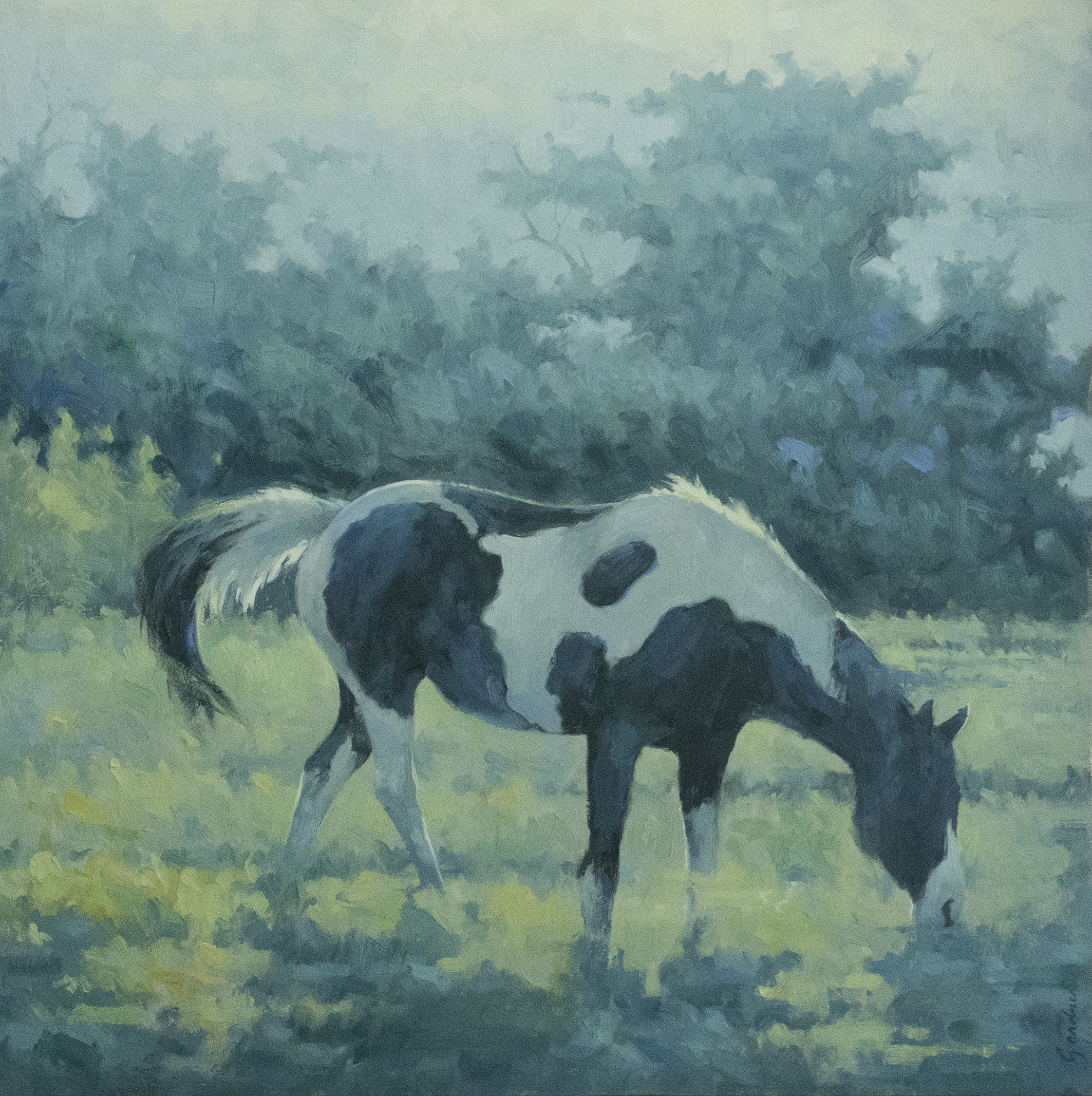 Terry Gardner - Morning Pasture