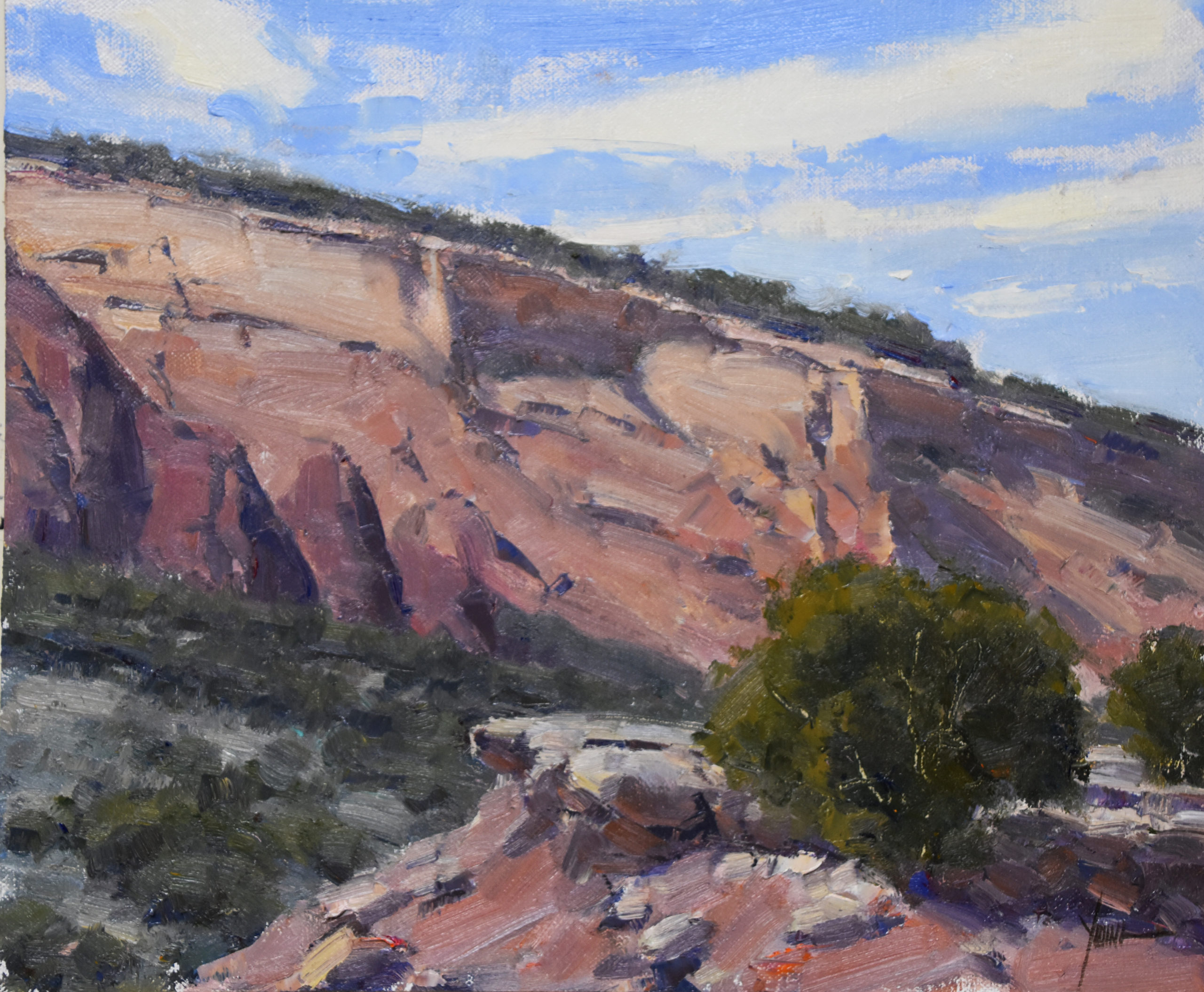 Dan Young - Western Colorado Red Rocks