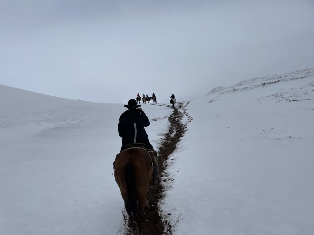Horses riding up snowy sand dunes