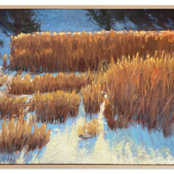 Peter Campbell - Winter Reeds