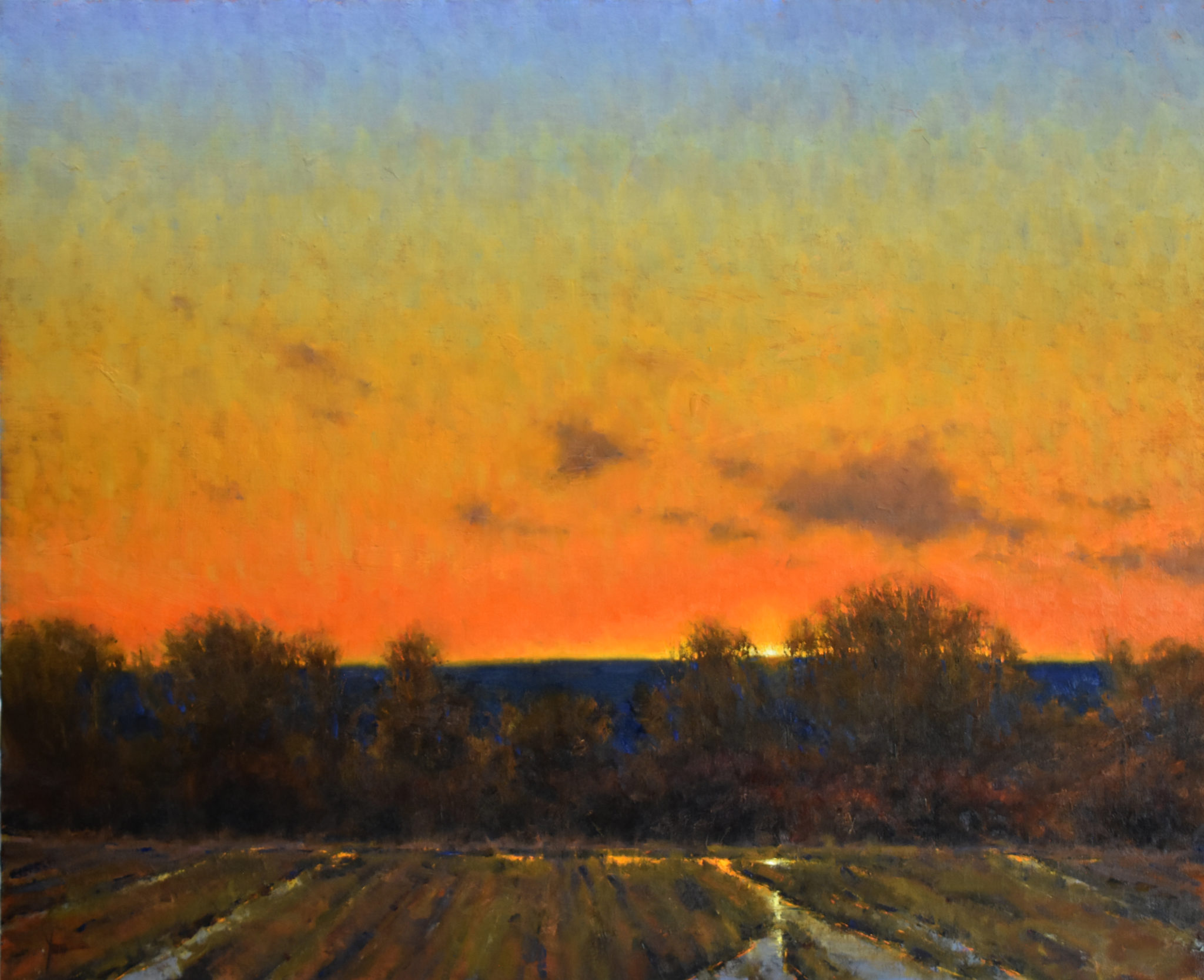 Dan Young