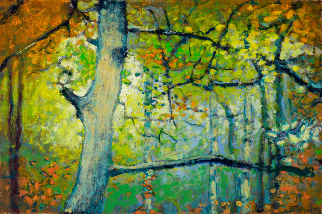 Rick Stevens, Forest Dreaming art
