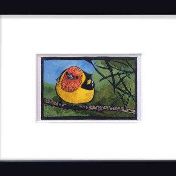 Sherrie York - Western Tanager - 7