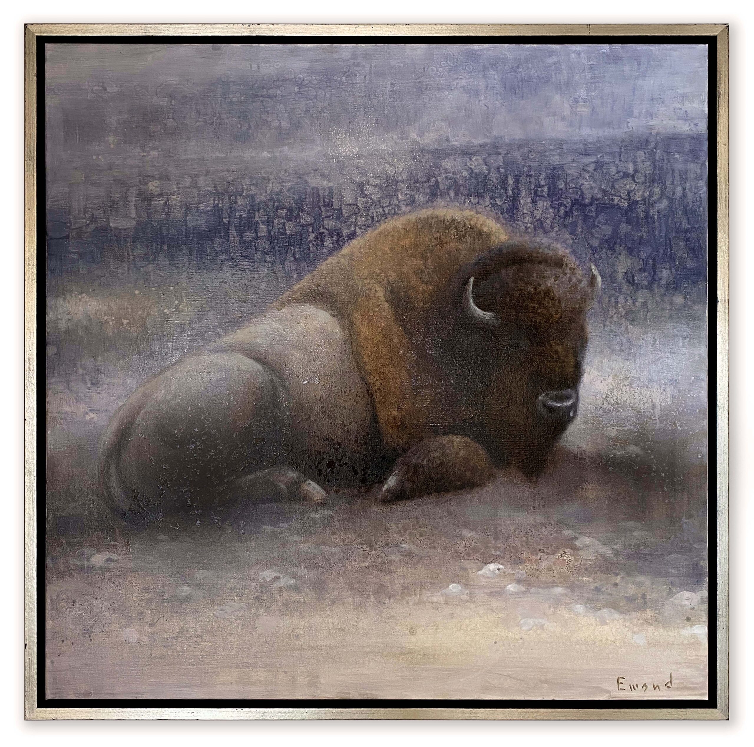Ewoud de Groot - Resting Bison