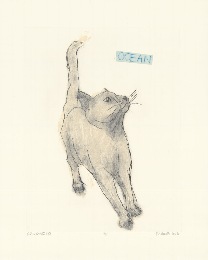Paula Schuette Kraemer, Fifth Greek Cat, UNF 6/20 art