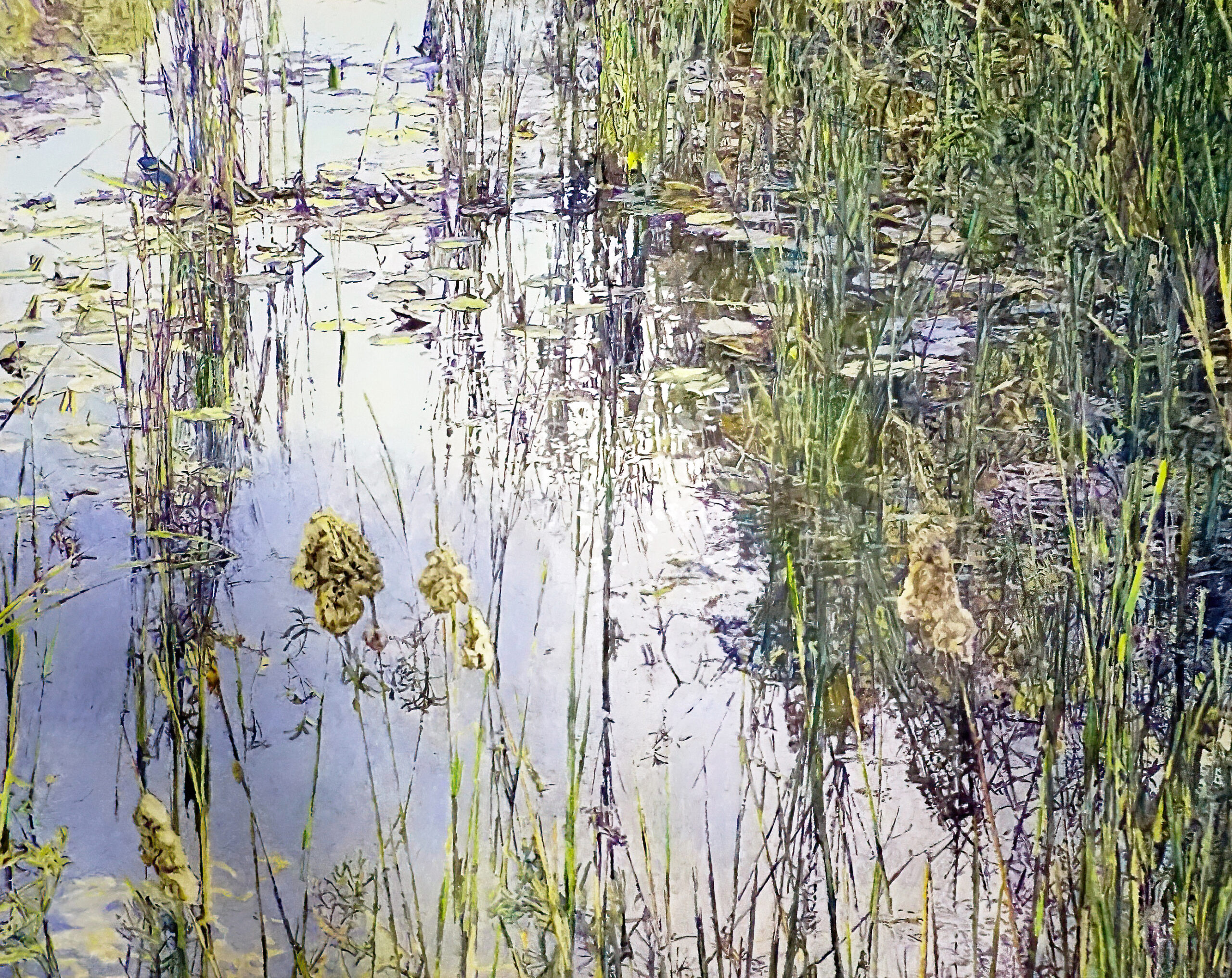William Nichols - Frog Pond***
