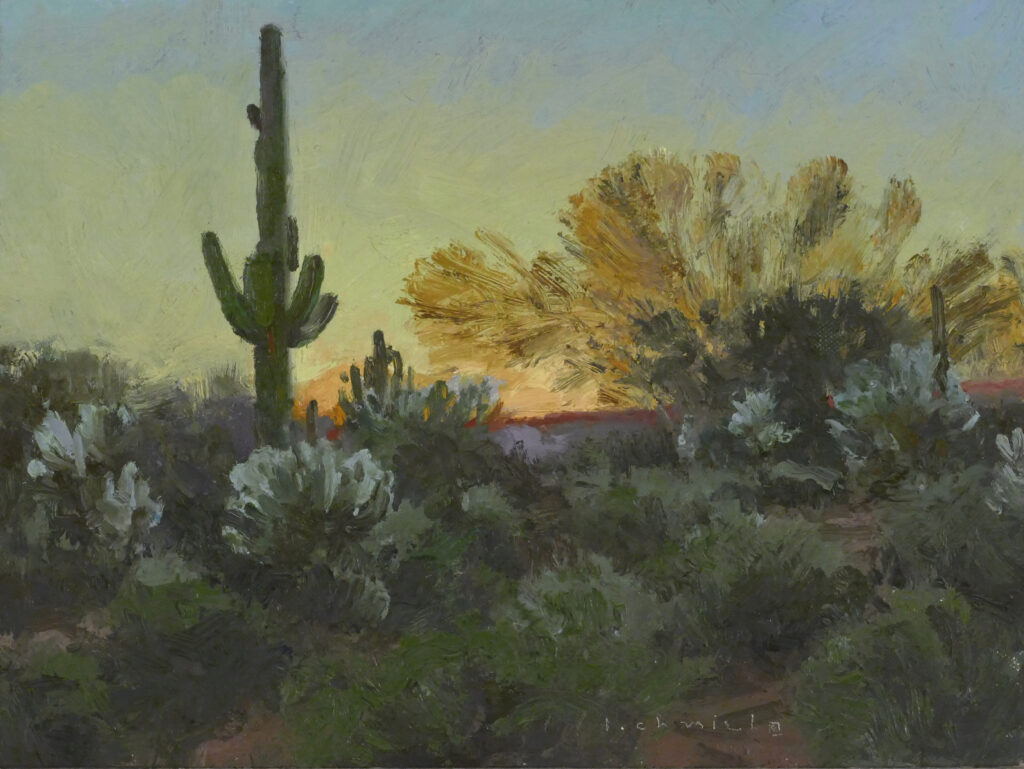 Len Chmiel - Sonoran Sunset