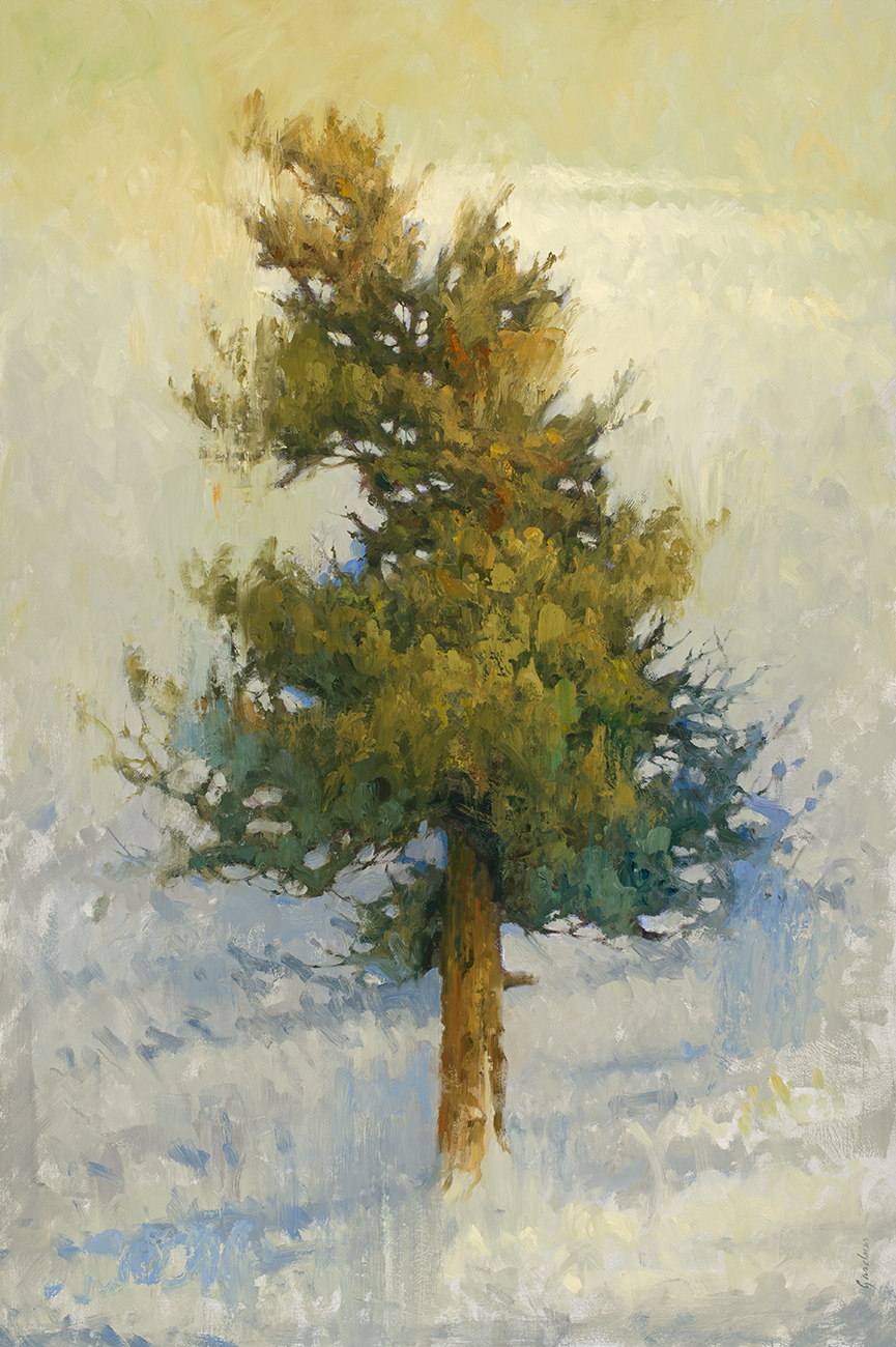 Terry Gardner - The Brassy Pine