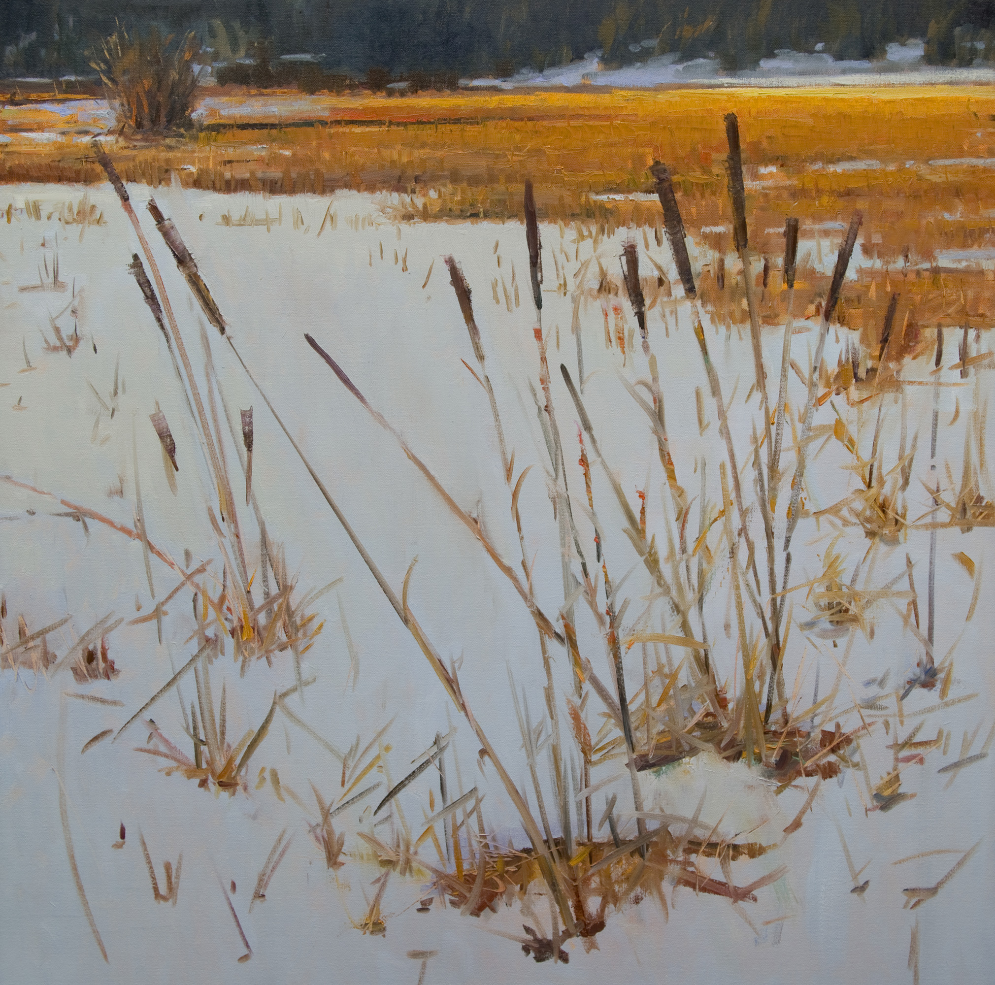 Peter Campbell - Winter Grasses