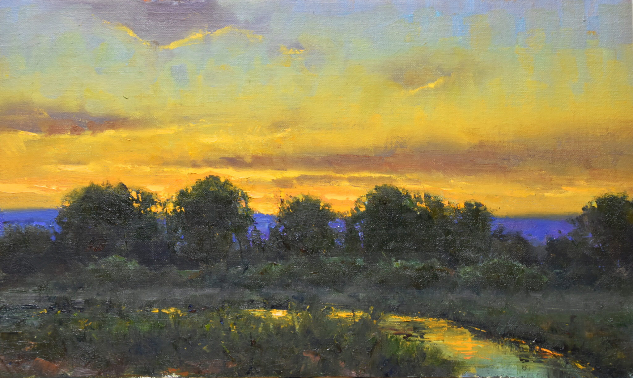 Dan Young