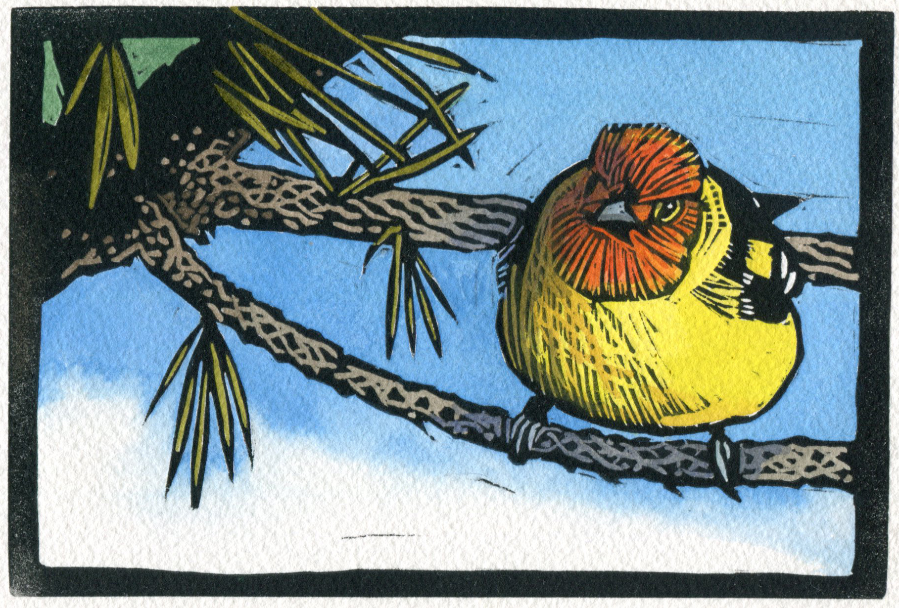 Sherrie York - Western Tanager II - 2