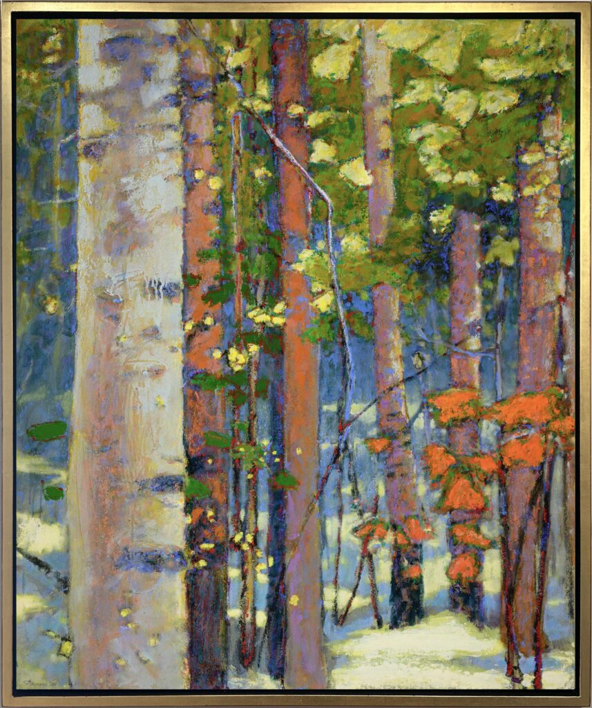Rick Stevens - Snow in the Forest