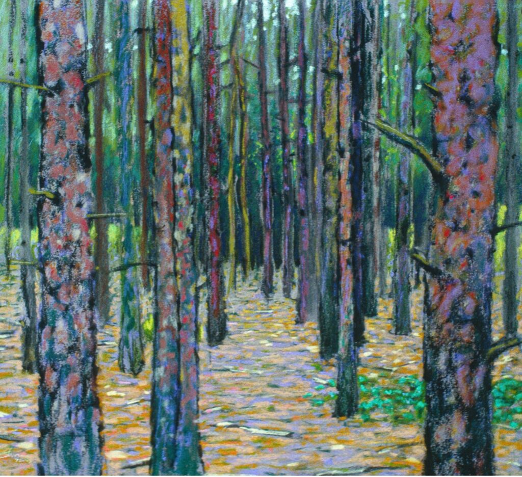 Pine Forest, pastel, 1995