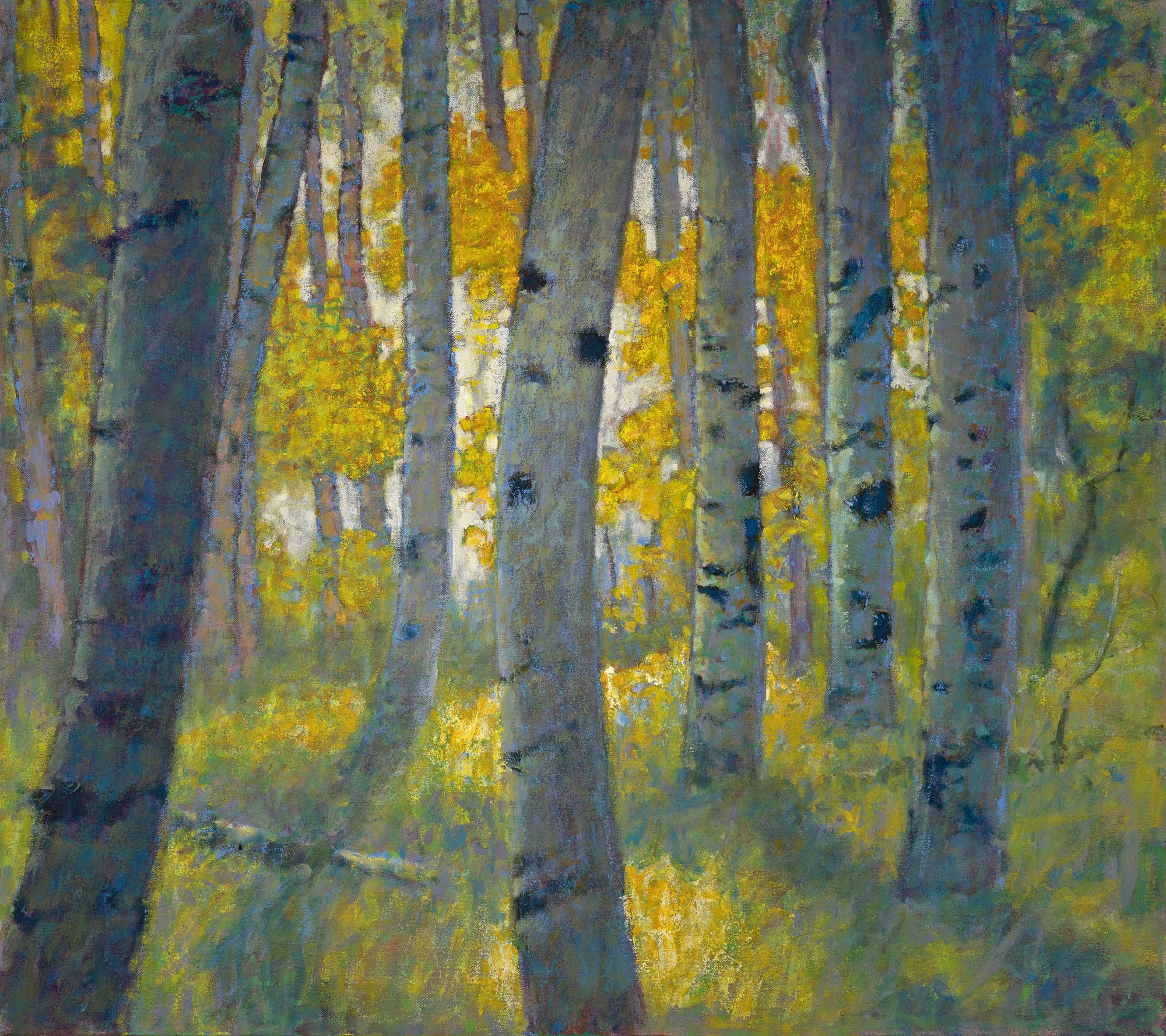 Rick Stevens - Hillside Aspen Grove