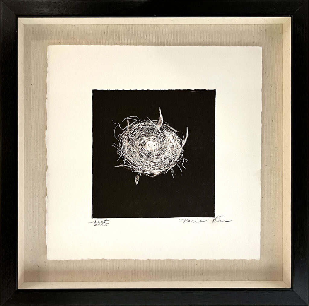 Marie Figge Wise, Nest #16*** art