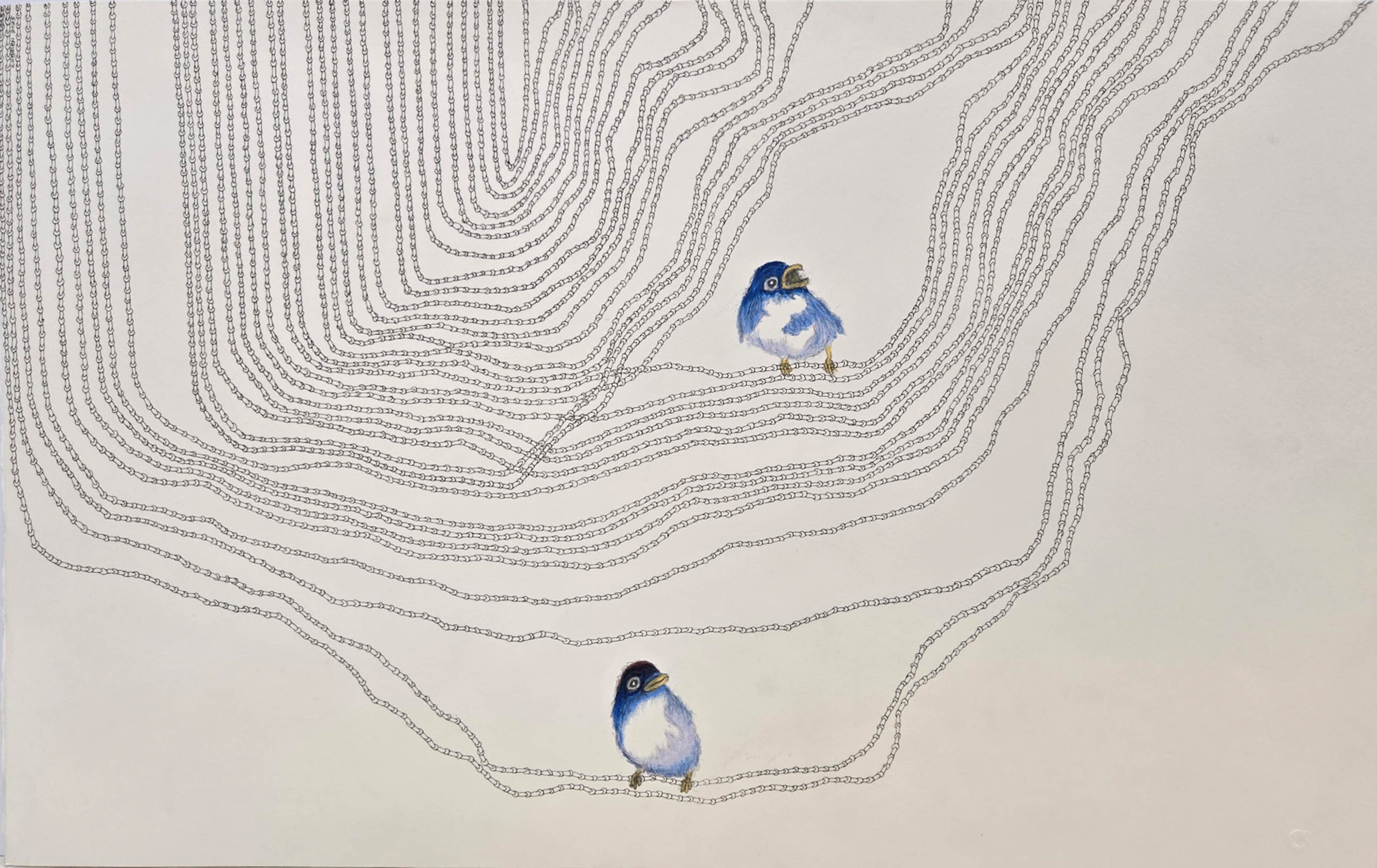 Craig OBrien - Two in the Tangle