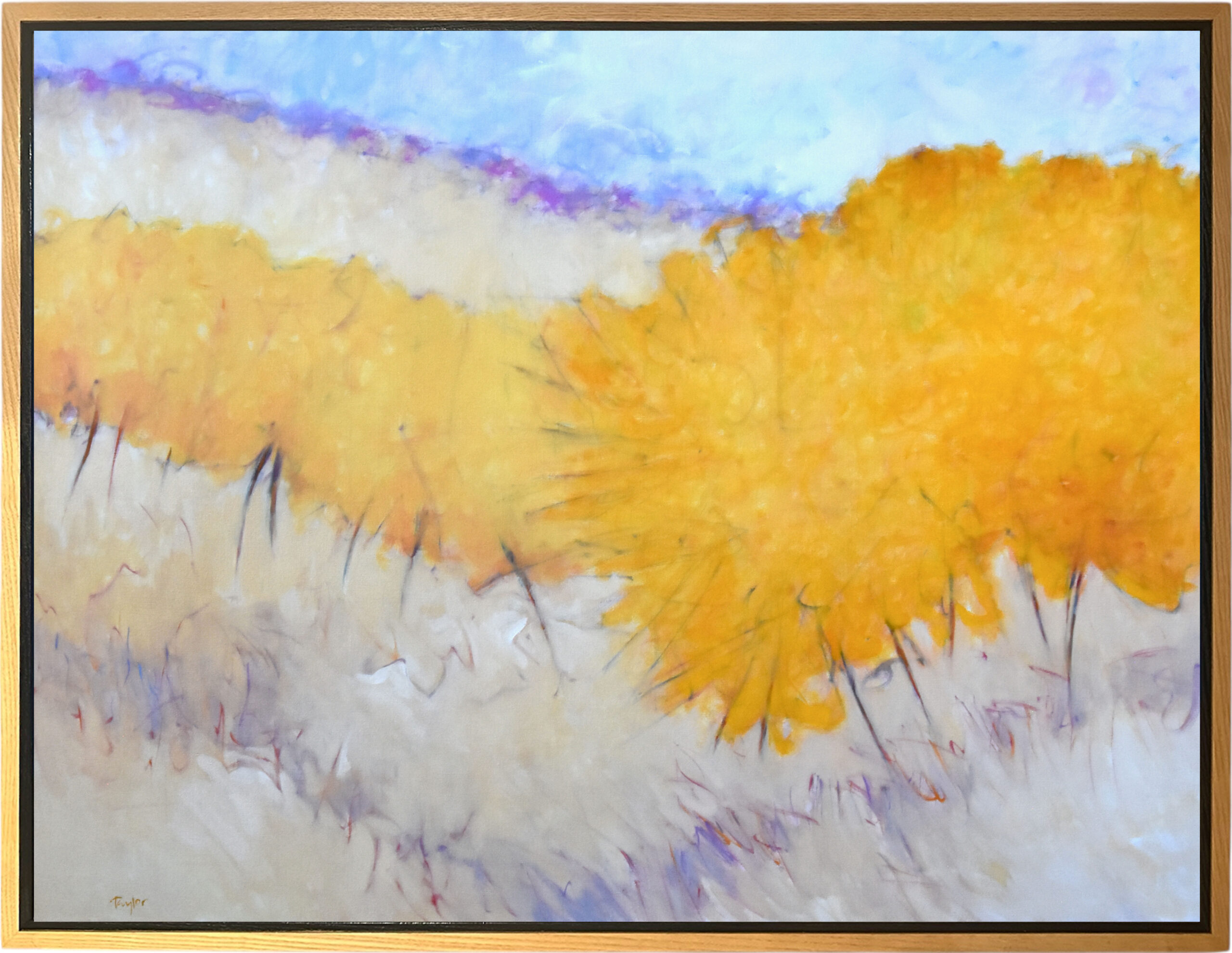 Andy Taylor - Bow Tie