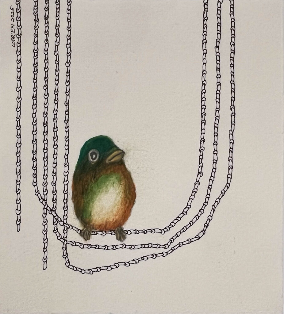 Craig O'Brien, Hanging Green art