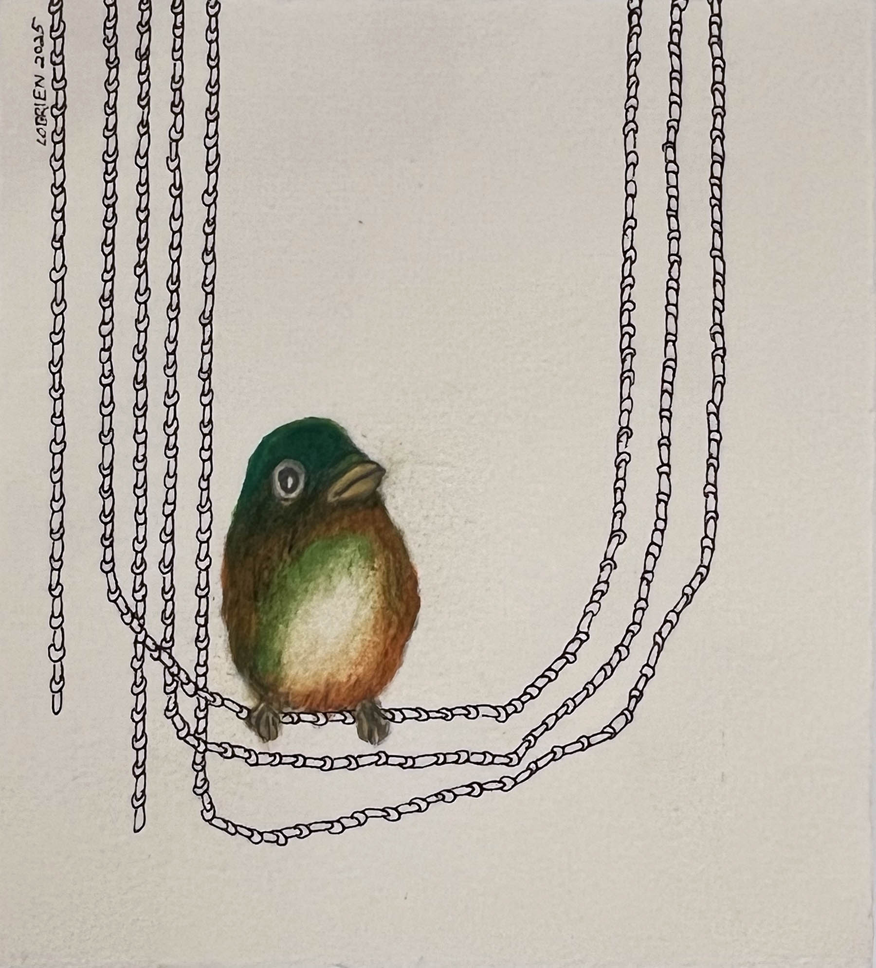 Craig OBrien - Hanging Green