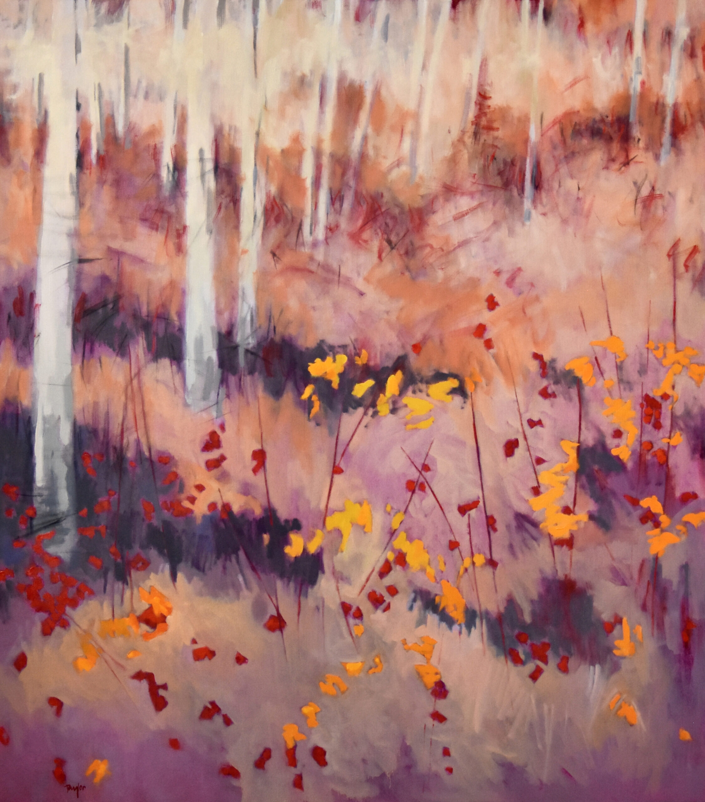 Andy Taylor - Scarce