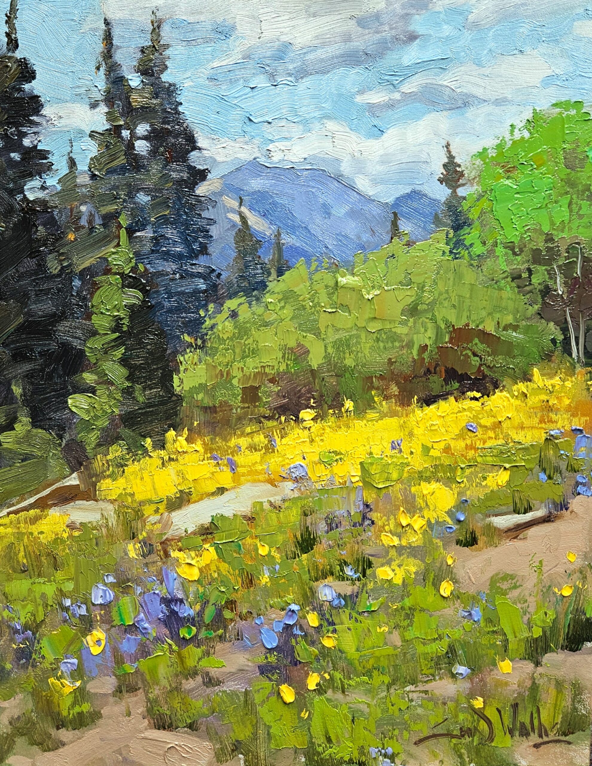 Sean Wallis - Aspen Mountain Flowers