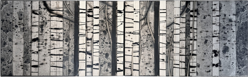 Michael Kessler, Birch on Birch (1), Dyptich art