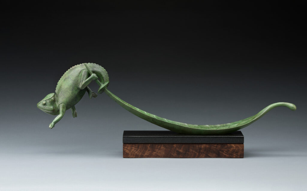 Tony Hochstetler, Chameleon and Leaf art