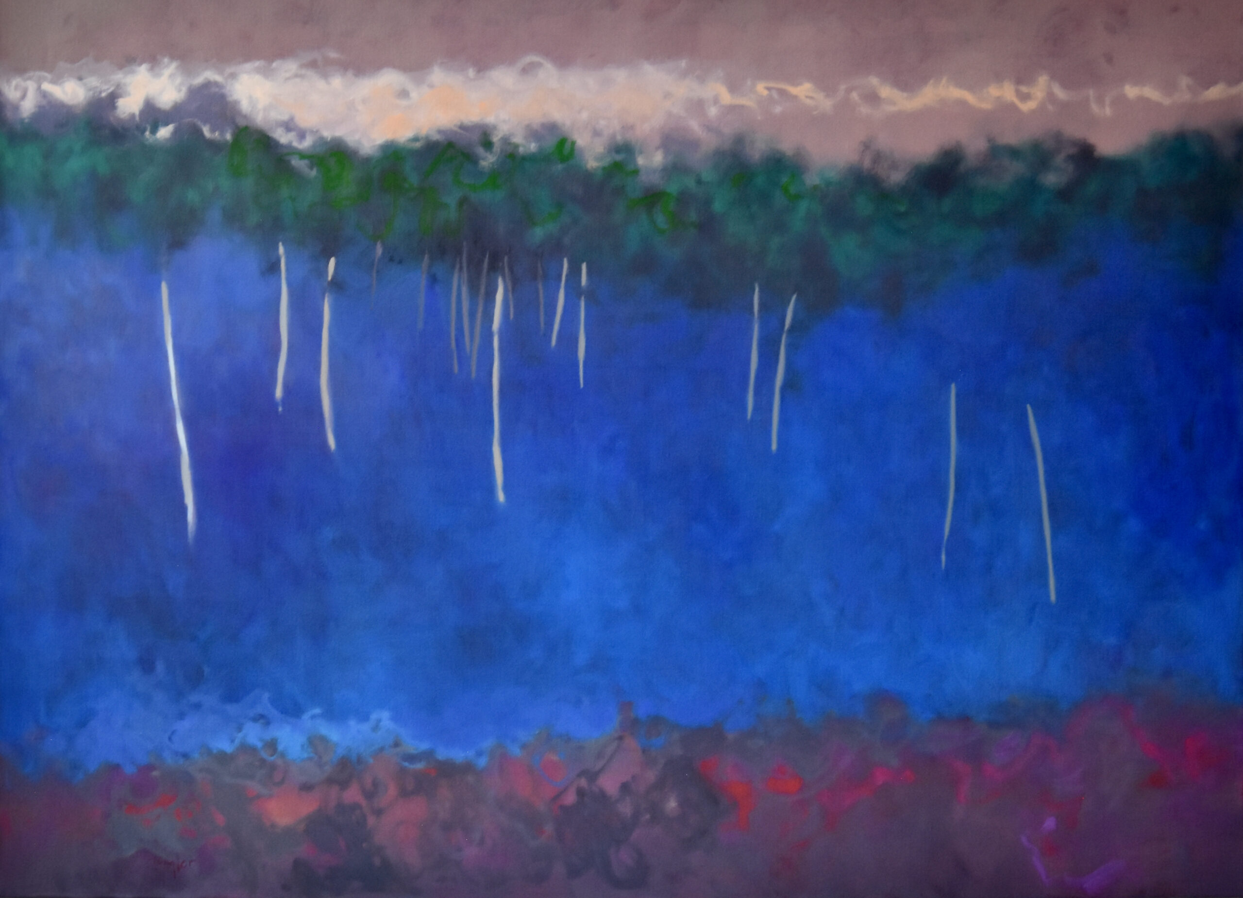 Andy Taylor - Freshette