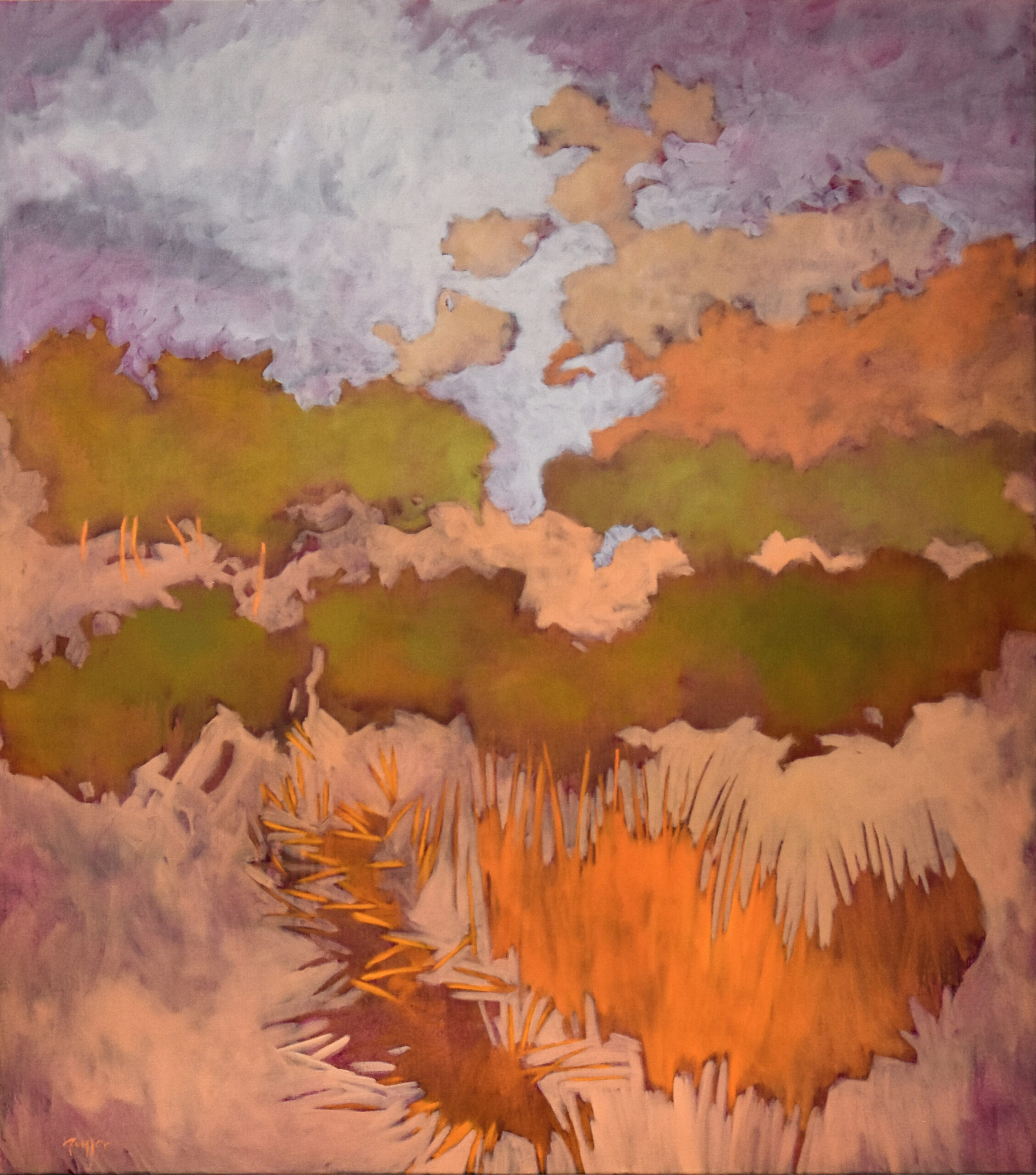 Andy Taylor - Green Squeeze