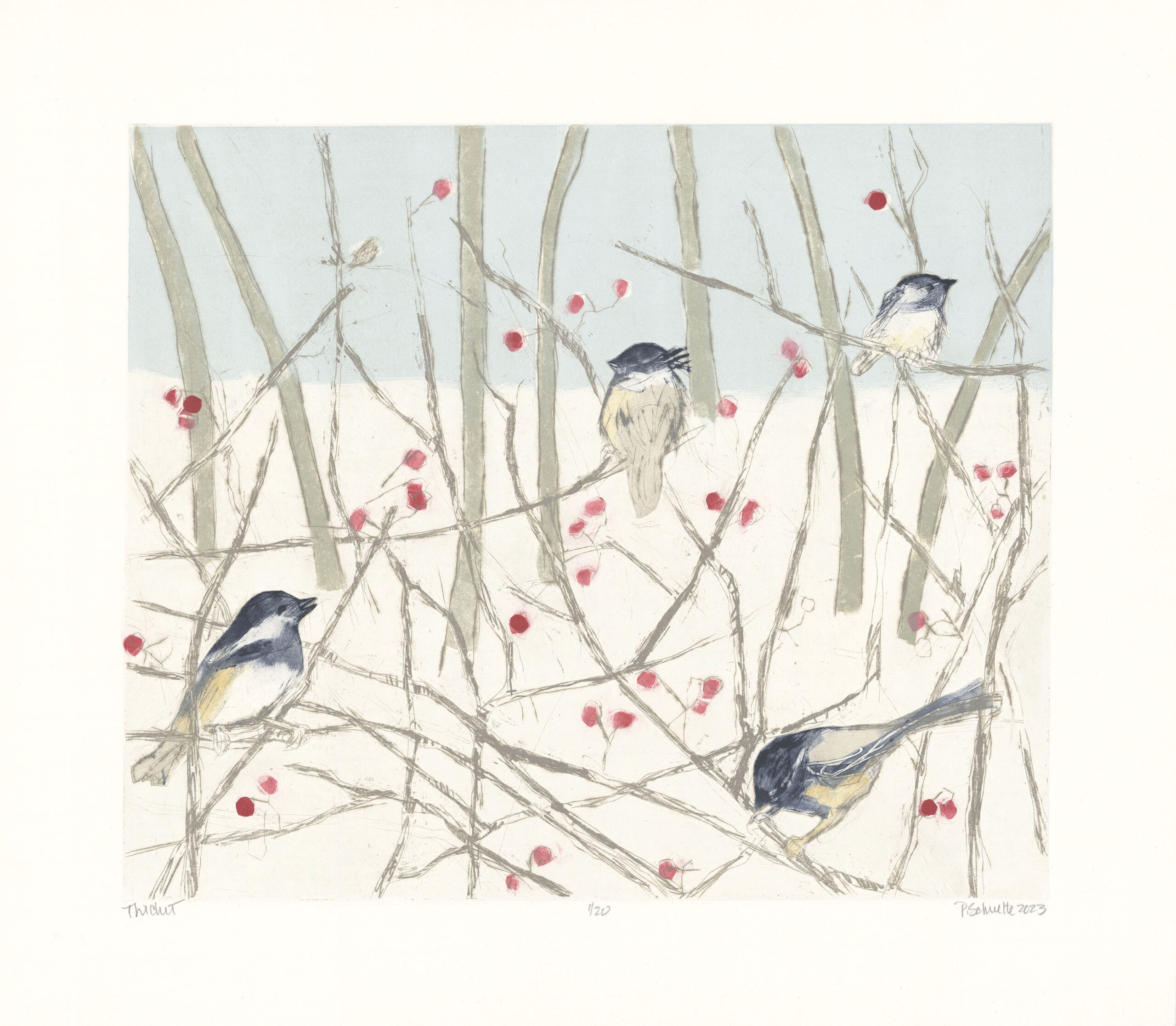 Paula Schuette Kraemer - Thicket 19/20, UNF