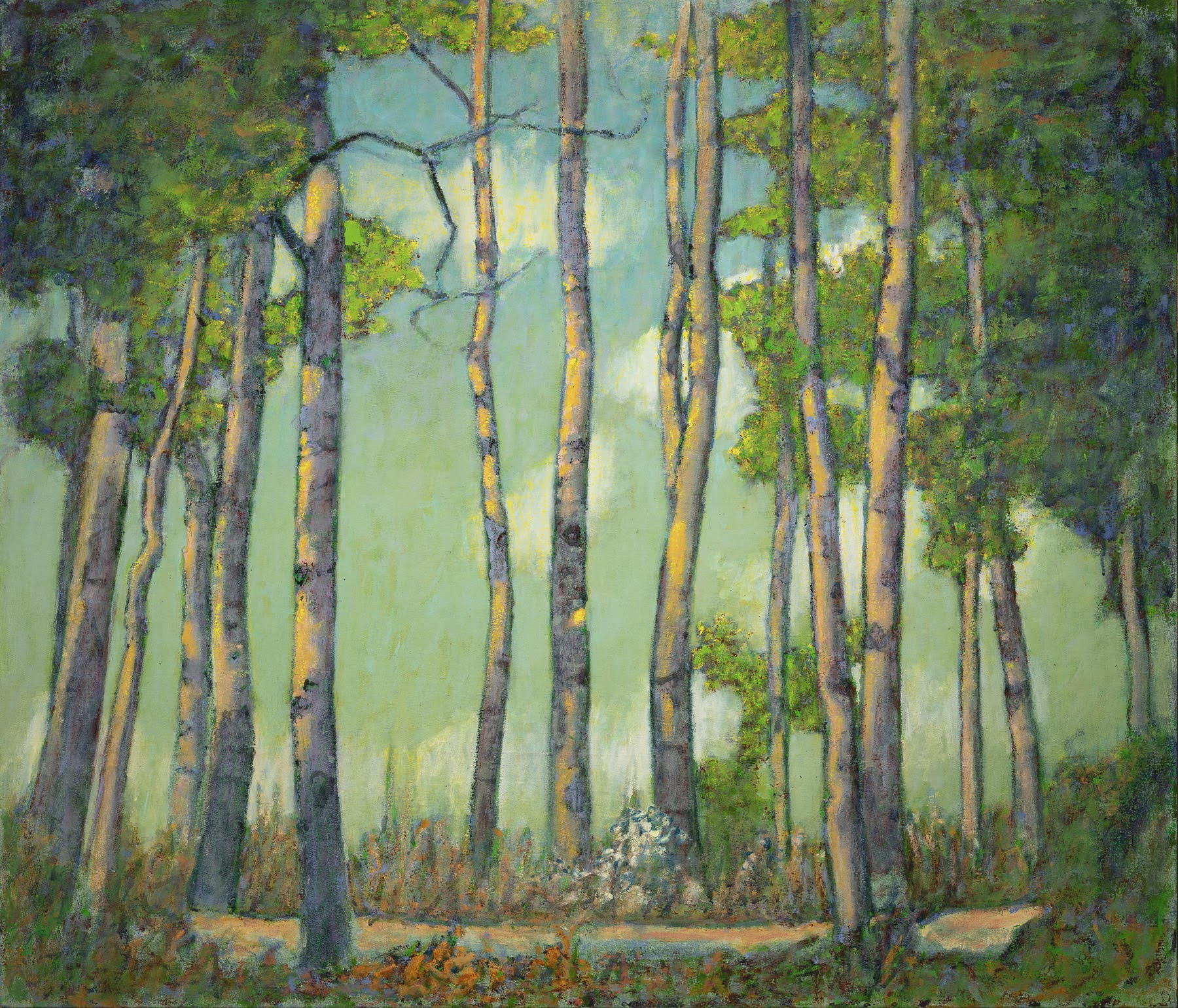 Rick Stevens - View of Sky Through Aspens