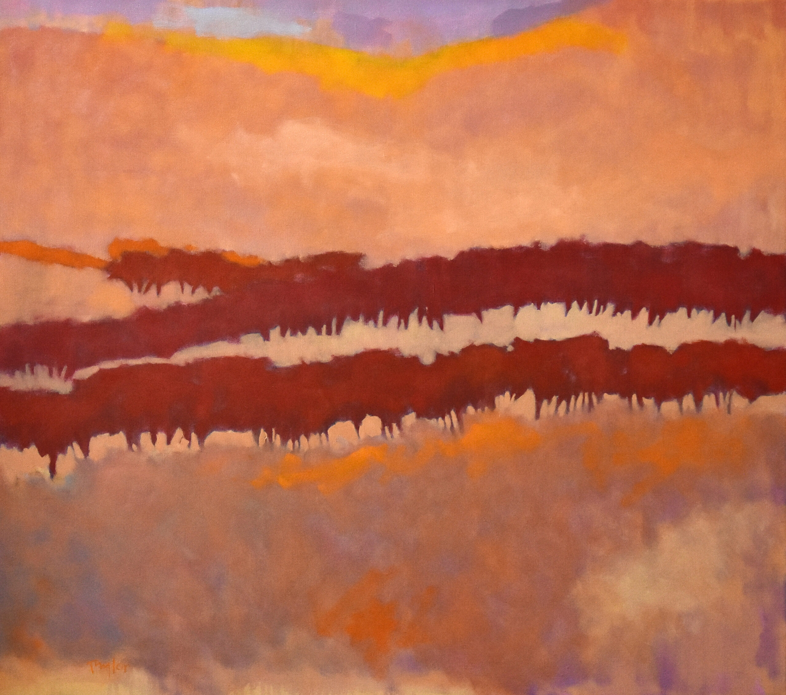 Andy Taylor - Wheesy