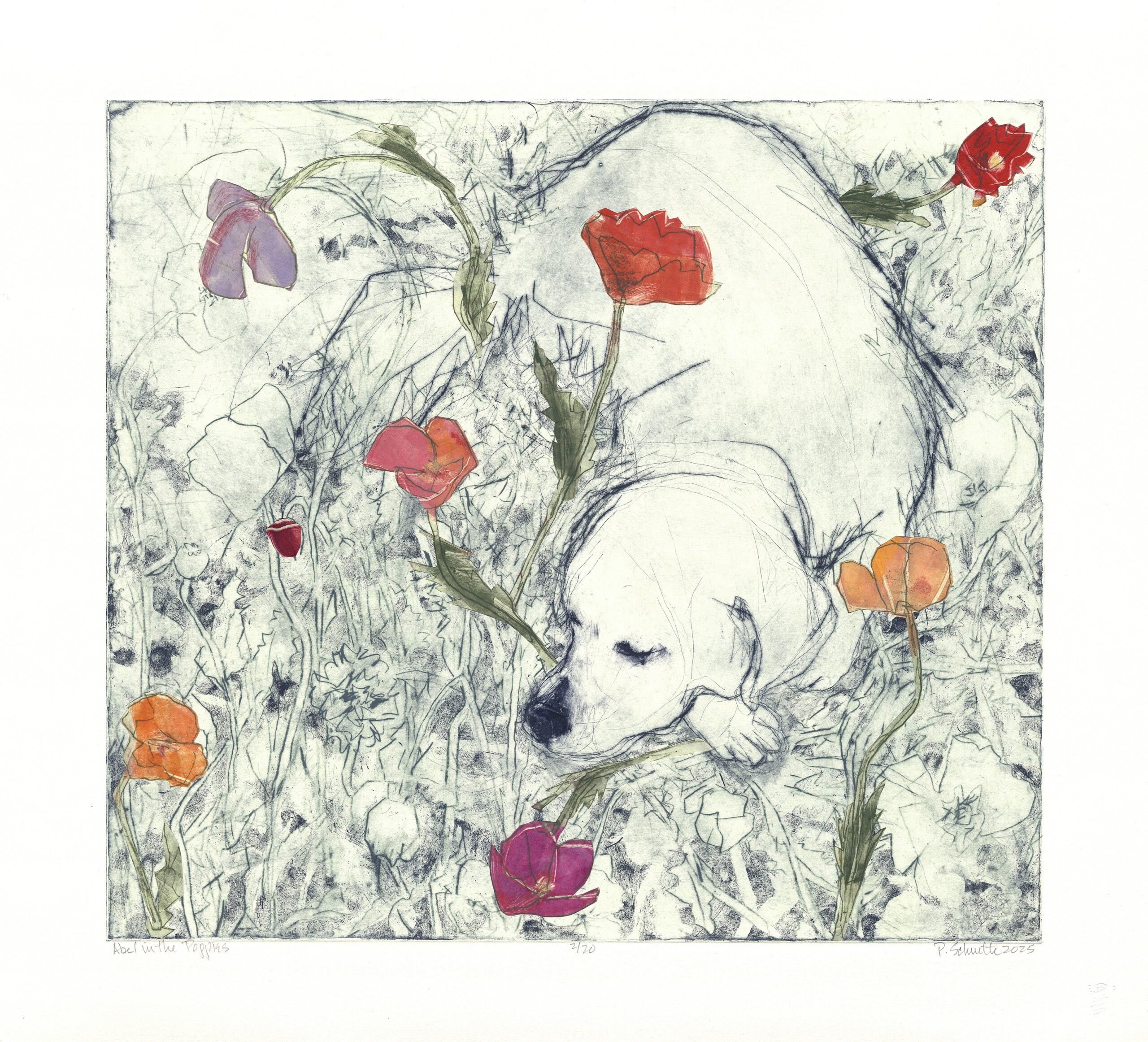 Paula Schuette Kraemer - Able in the Poppies, 8/20